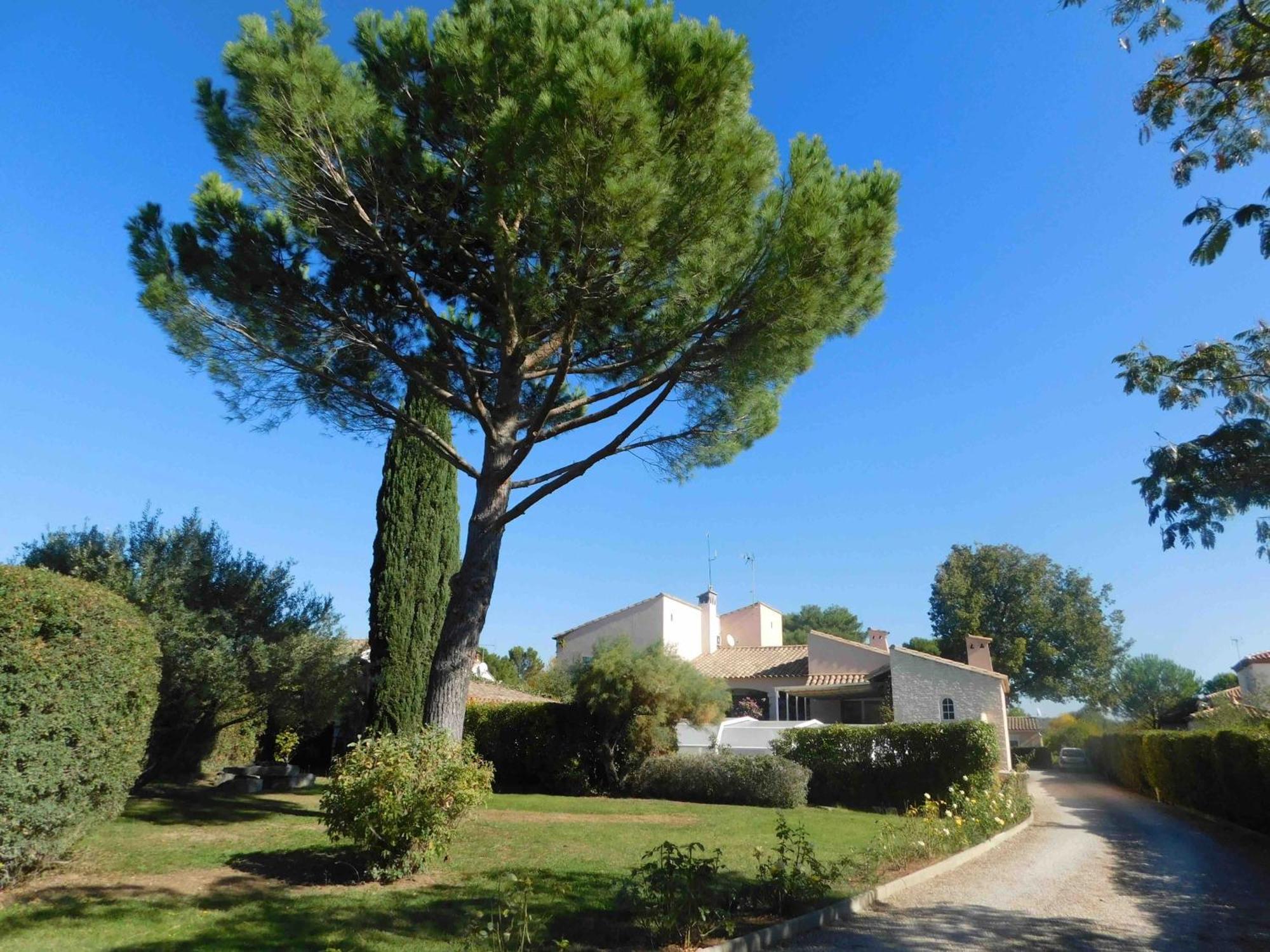 Les Bougainvillees De Camargue Villetelle Exterior foto