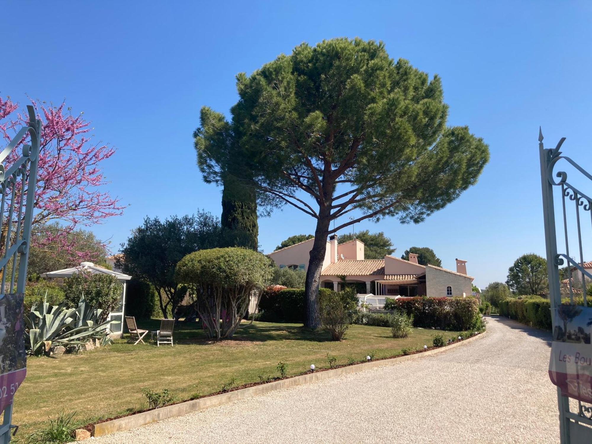 Les Bougainvillees De Camargue Villetelle Exterior foto