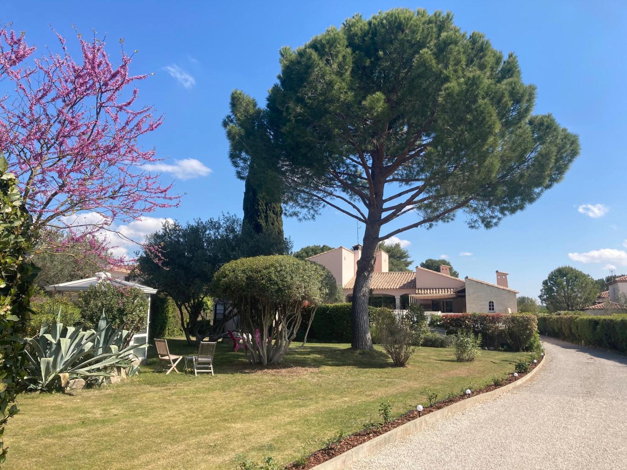 Les Bougainvillees De Camargue Villetelle Exterior foto